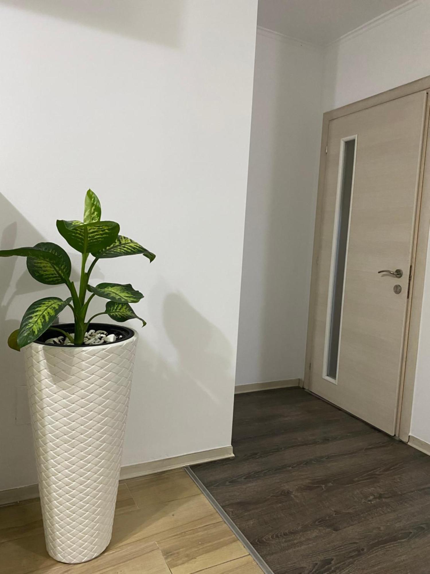 Main Apartment ティラナ エクステリア 写真